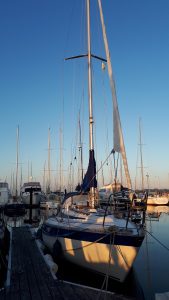Willing 31 Segelboot